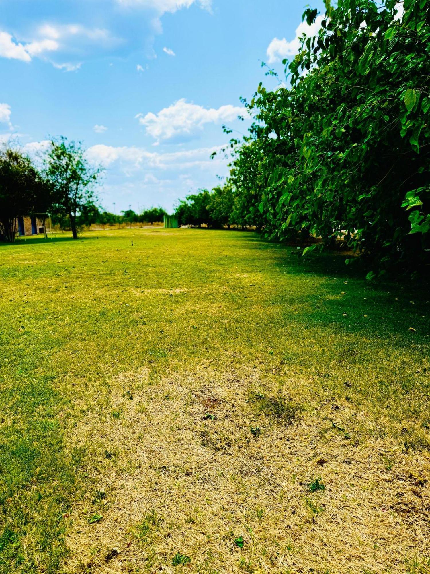 Conductor'S Inn Tsumeb Zewnętrze zdjęcie